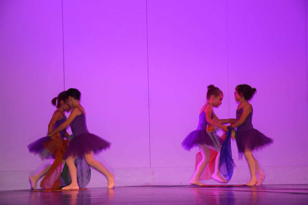 DSC_0037 - Kopie.JPG