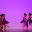 DSC_0037 - Kopie.JPG