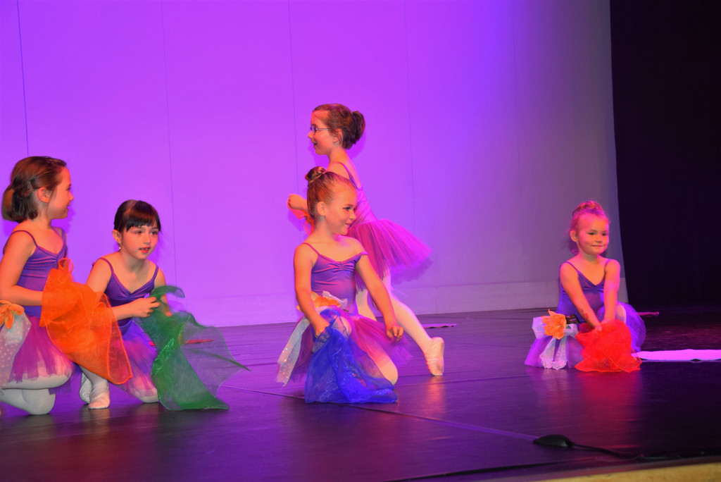 DSC_0038 _2_ - Kopie.JPG