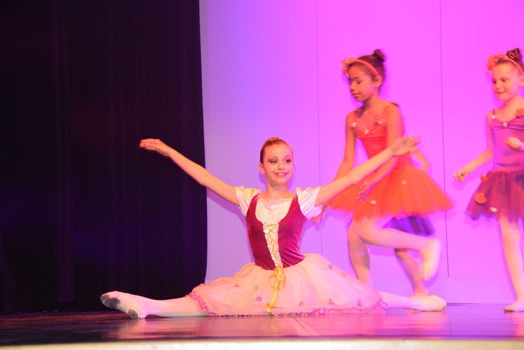 DSC_0041 - Kopie.JPG