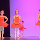 DSC_0046 - Kopie.JPG