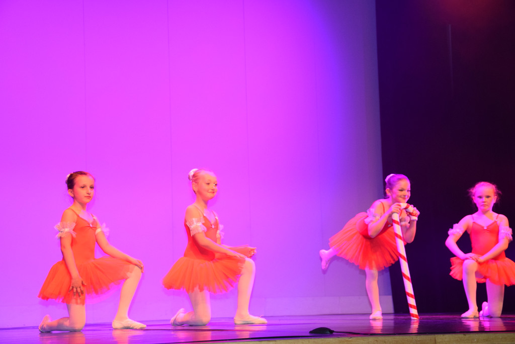 DSC_0048 - Kopie.JPG