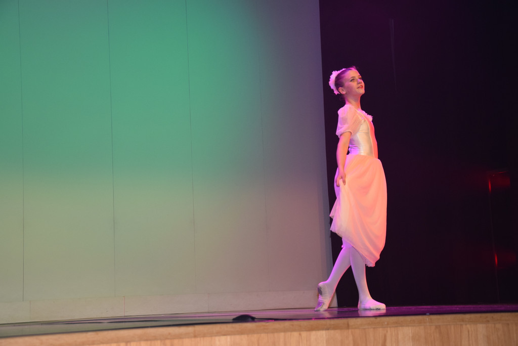 DSC_0056 - Kopie.JPG