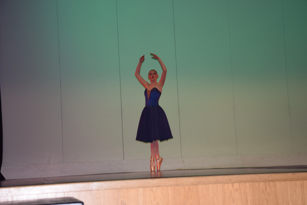 DSC_0059 - Kopie.JPG