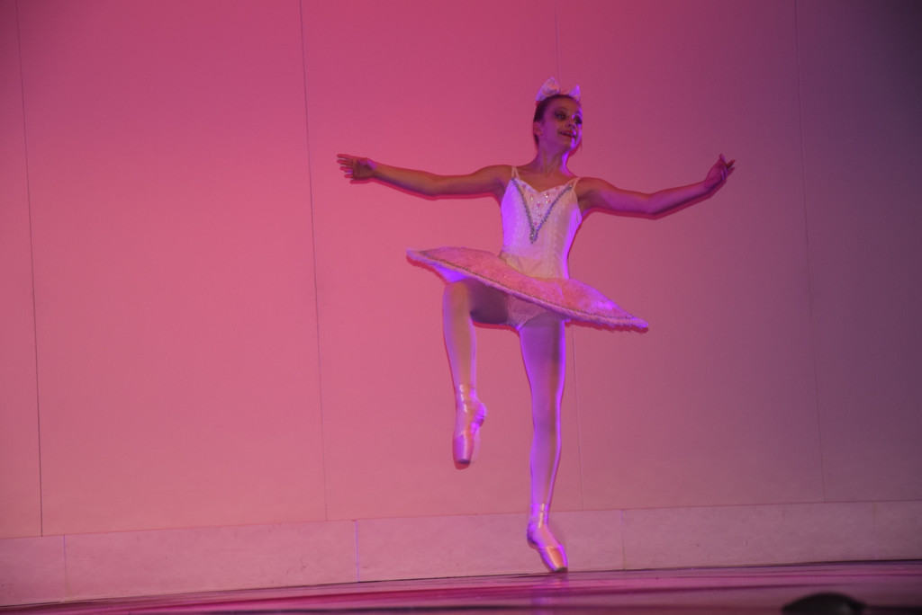 DSC_0061 - Kopie.JPG