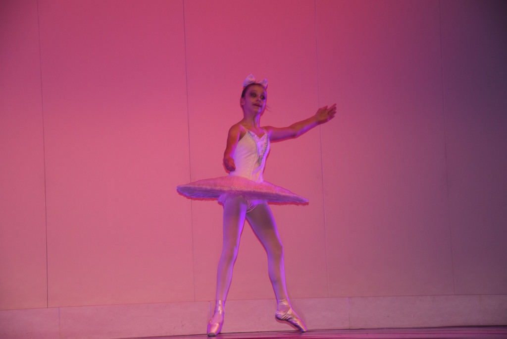 DSC_0062 - Kopie.JPG