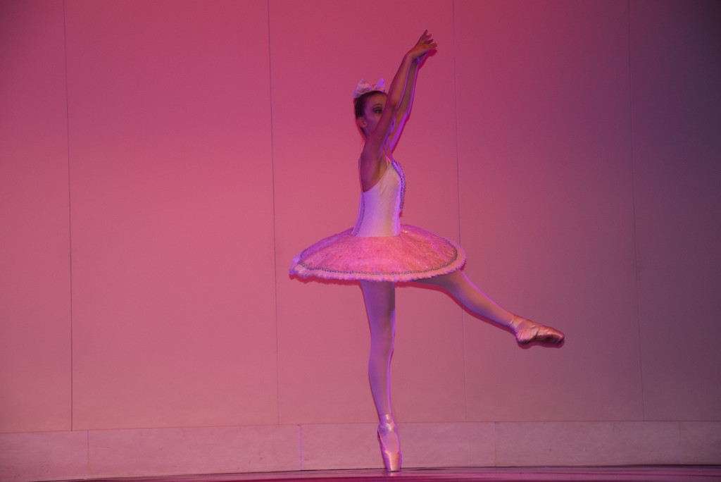 DSC_0063 - Kopie.JPG