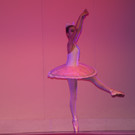 DSC_0063 - Kopie.JPG