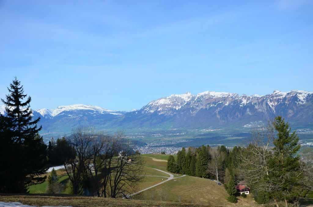 Furx Ausblick auf Rheintal.JPG