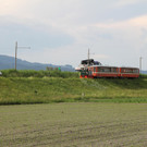 IMG_5811.JPG