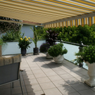 Hard Wild G DSC01819.JPG