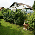 Hard Wild G DSC01820.JPG