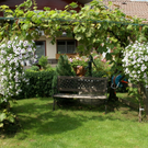 Hard Wild G DSC01821.JPG