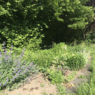 Tag des offenen Bienenstockes 2018