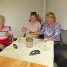 Kräuterwanderung