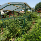 Hard Wild G DSC01822.JPG