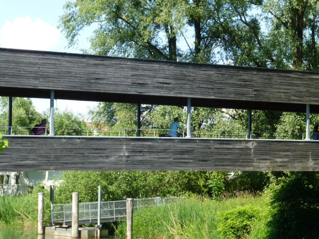 P1070879.JPG