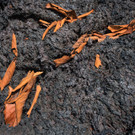 Meldungsliste_22__10.jpg