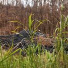 Meldungsliste_22__6.jpg
