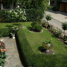 Hard Wild G DSC01829.JPG