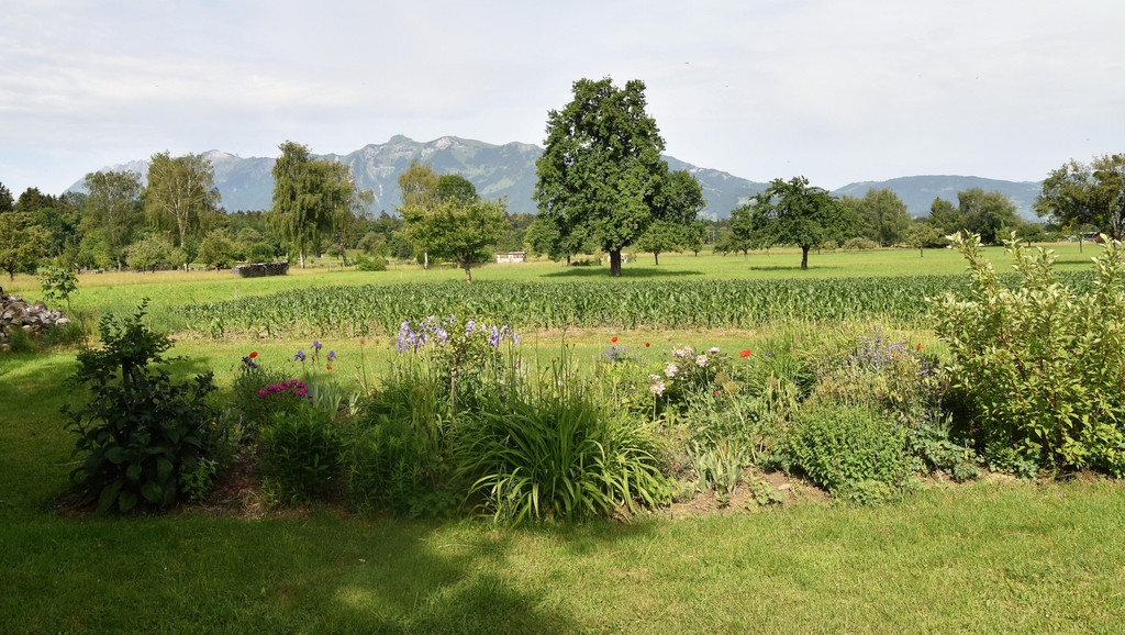 DSC_0005.JPG