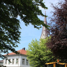 IMG_5085_jiw.jpg