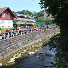 IMG_5112_jiw.jpg