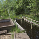Moorbad Sibratsgfäll