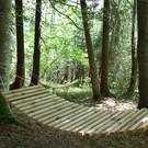 Tobelweg Sibratsgfäll