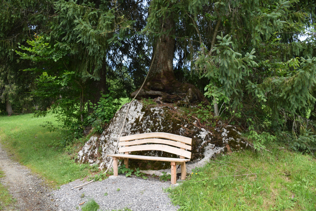 DSC_0929.JPG