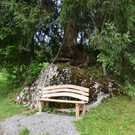 DSC_0929.JPG