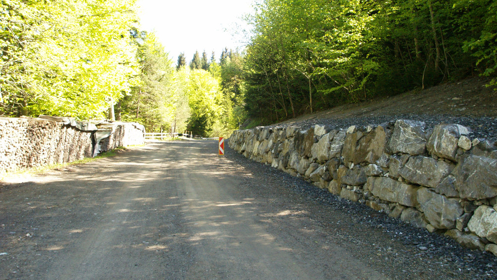 P1015789.jpg