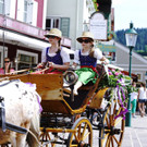 20180527_FMT_10_Kutschen-Gala_KJ_014.JPG