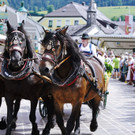 20180527_FMT_10_Kutschen-Gala_KJ_025.JPG