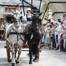 20180527_FMT_10_Kutschen-Gala_KJ_030.JPG