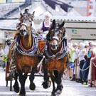 20180527_FMT_10_Kutschen-Gala_KJ_045.JPG