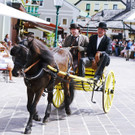 20180527_FMT_10_Kutschen-Gala_KJ_049.JPG