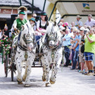 20180527_FMT_10_Kutschen-Gala_KJ_059.JPG