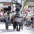 20180527_FMT_10_Kutschen-Gala_KJ_083.JPG