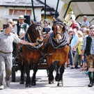 20180527_FMT_10_Kutschen-Gala_KJ_086.JPG