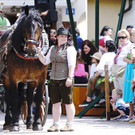 20180527_FMT_10_Kutschen-Gala_KJ_093.JPG