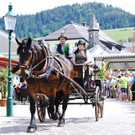 20180527_FMT_10_Kutschen-Gala_KJ_094.JPG