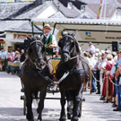 20180527_FMT_10_Kutschen-Gala_KJ_105.JPG