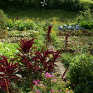 Hohenweiler Willi G DSC01811.JPG