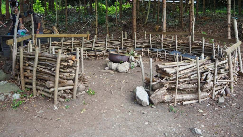 P5231597.JPG