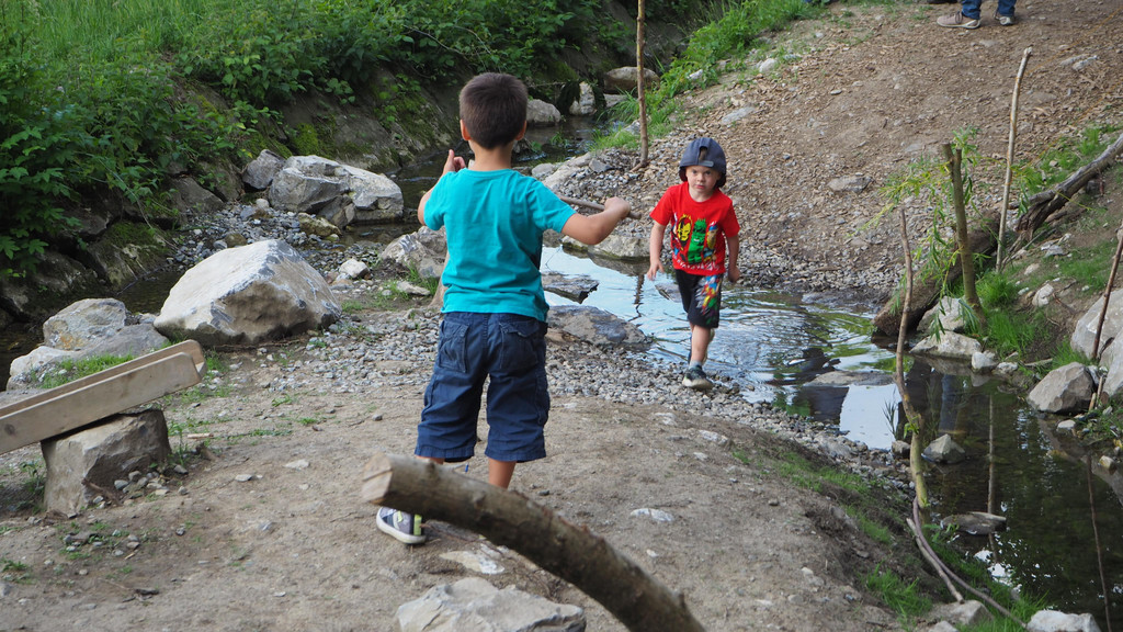 P5231699.JPG