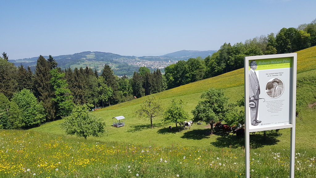 20180507_134114 _2_.jpg