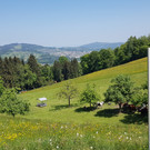 20180507_134114 _2_.jpg