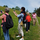 20180526_111201.jpg