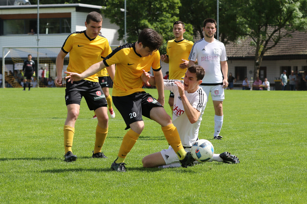 2018-05-27_0030_bearbeitet-1.jpg